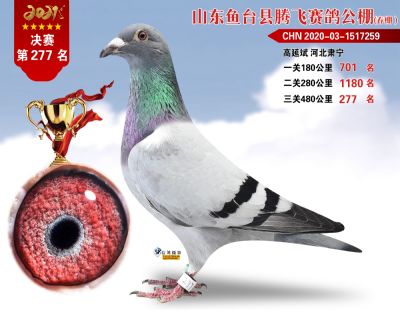 277副本