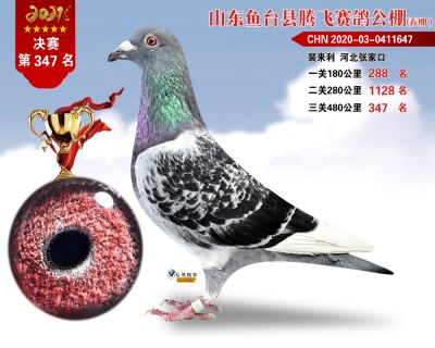 347副本