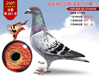 357副本