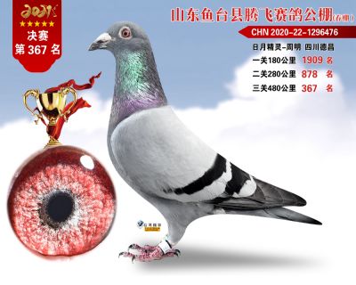 367副本