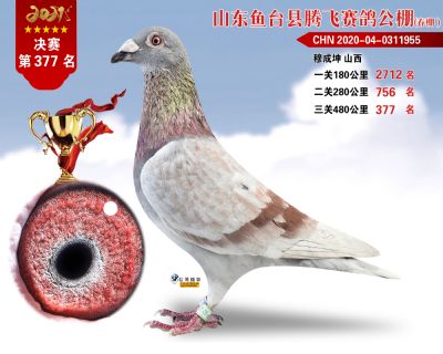 377副本