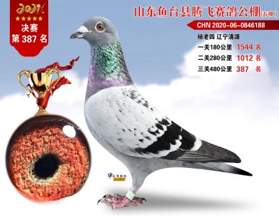 387副本