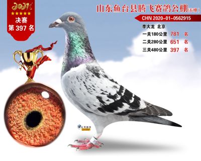 397副本