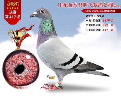 417副本