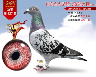 427副本