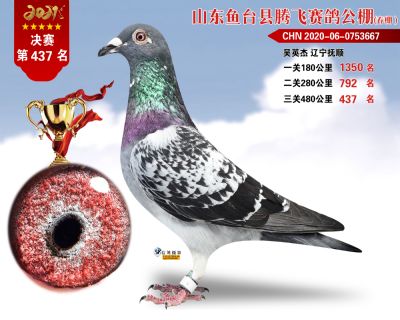 437副本