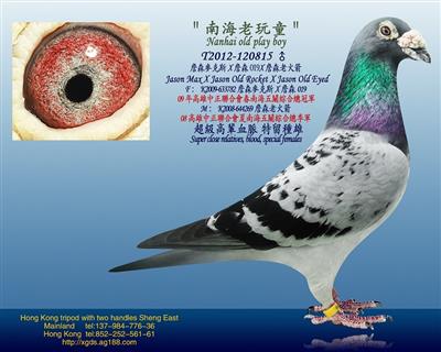 南海老玩童/詹森麥克斯X詹森019X詹森老火箭