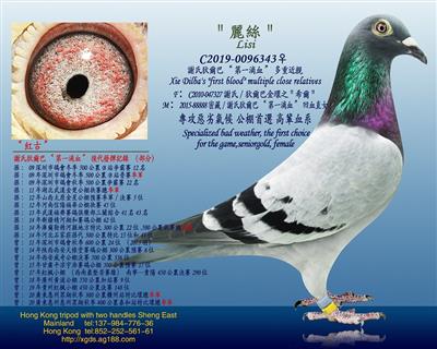 謝氏狄爾巴“第一滴血”多重近親