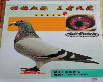 凡龙