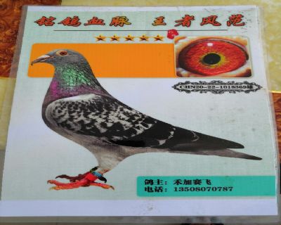 千元特比