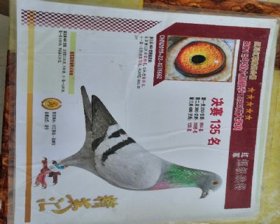 公棚决赛135名