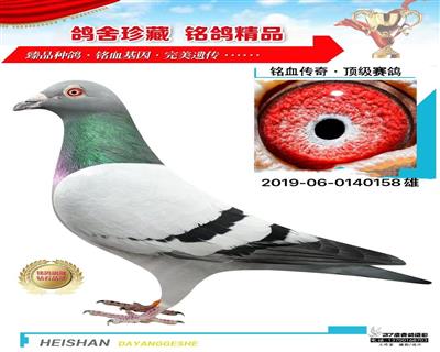 483直孙-483直孙女