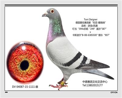 DV 05950-15-1111雌
