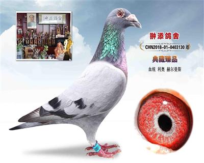 利奥003 回血 做出