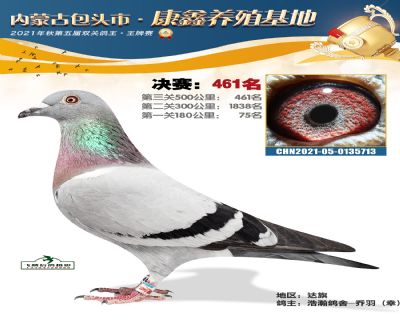 包頭康鑫決賽461名