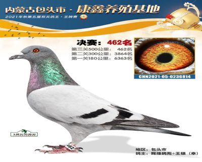 包頭康鑫決賽462名