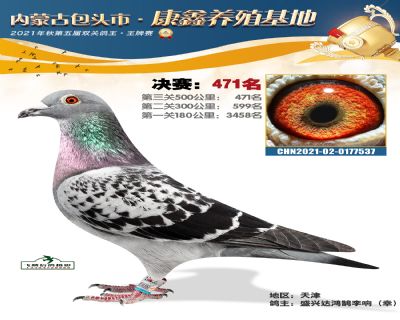 包頭康鑫決賽471名