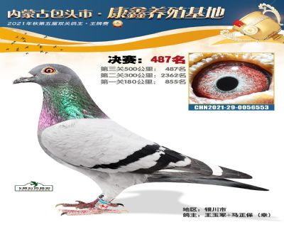 包頭康鑫決賽487名