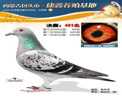 包頭康鑫決賽491名