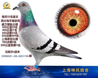 南非33名直女