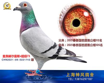 泰国芭提雅105名x112名