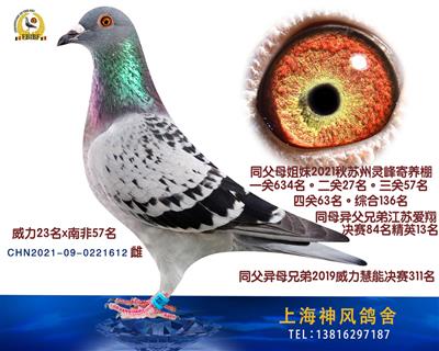 威力23名x南非57名
