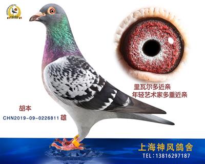 胡本里瓦尔多