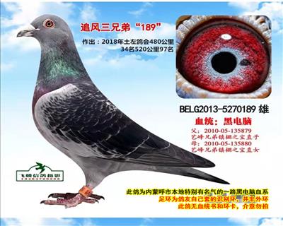 追風(fēng)三兄弟189