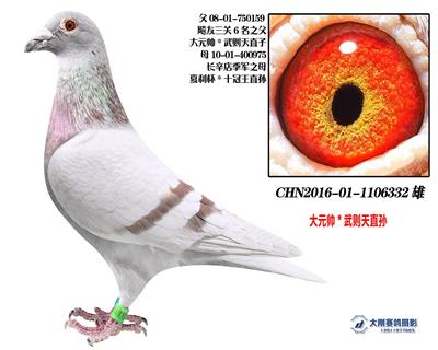 大元帅X武则天直孙