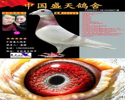 漂亮红詹森雄