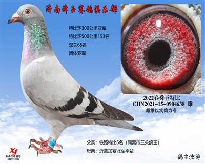 团体亚军 特比环300公里亚军