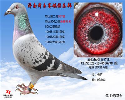 特比500公里决赛93名