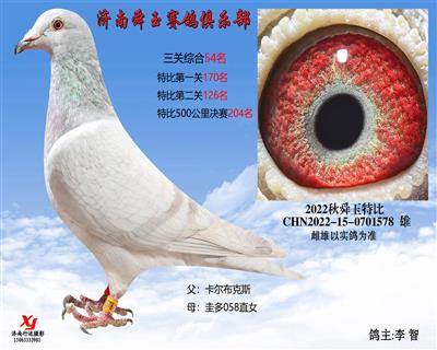 三关综合54名