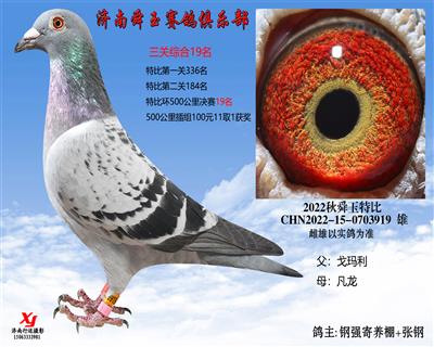 三关综合19名 决赛19名