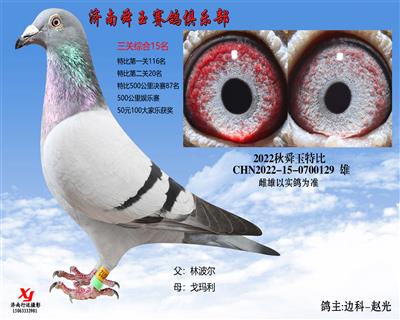 三关综合15名