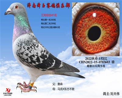 三关综合41名