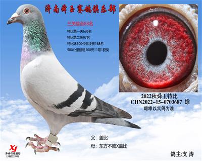 三关综合83名
