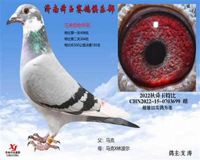 三关综合95名