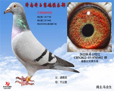 三关综合40名