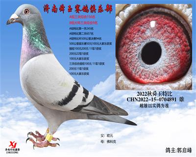 B组大环三关综合9名