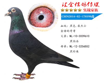 c鿴ƷDƬ