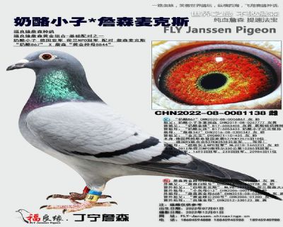 奶酪小子X詹森麥克斯