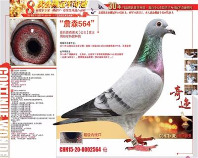 点击查看此商品大图片