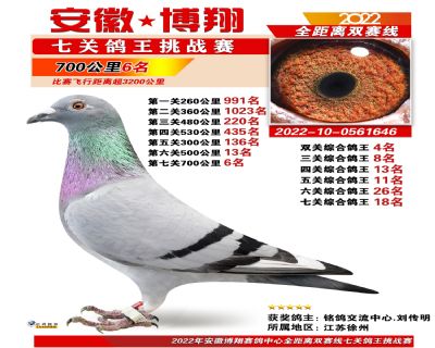 700公里6名 双关鸽王4名 三关鸽王8名 七关鸽王18名