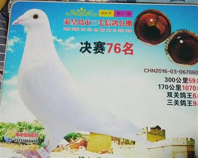 鿴ƷͼƬ