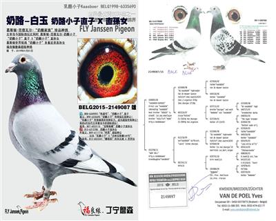 鿴ƷͼƬ