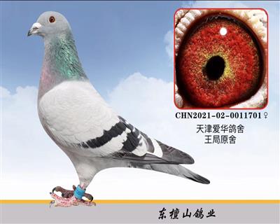 ַɸϵָ루Ƹ룩