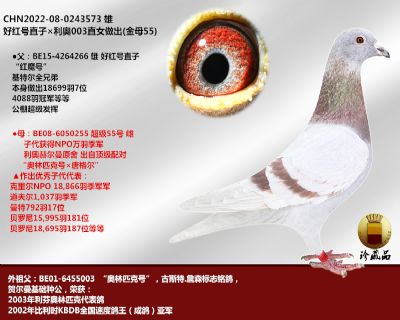 ütֱ̖ӡW003ֱŮ