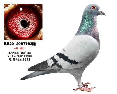 Ǳȡ³ϡ