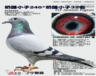 240XһѪ32